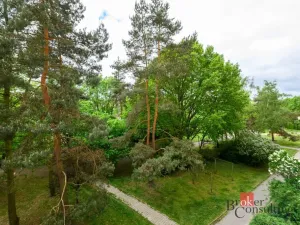 Prodej bytu 2+1, Plzeň - Bolevec, Komenského, 60 m2