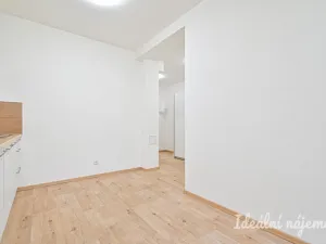 Pronájem bytu 2+kk, Brno - Královo Pole, Poděbradova, 45 m2