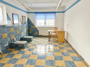 Pronájem obchodního prostoru, Nový Šaldorf-Sedlešovice, Dlouhá, 35 m2