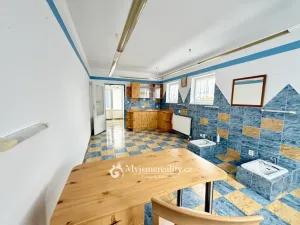 Pronájem obchodního prostoru, Nový Šaldorf-Sedlešovice, Dlouhá, 35 m2