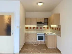 Pronájem bytu 1+kk, Plzeň, Radobyčická, 32 m2