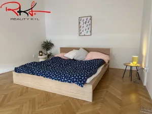 Pronájem bytu 4+1, Praha, Vladislavova, 160 m2