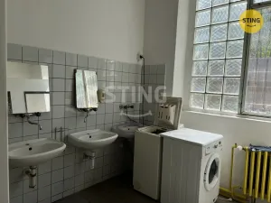 Pronájem komerční nemovitosti, Pardubice, S. K. Neumanna, 165 m2