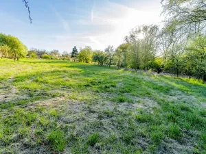 Prodej pozemku pro bydlení, Svojetín, 3831 m2