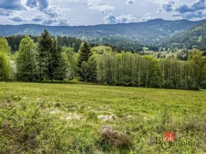 Prodej pozemku pro bydlení, Hamry, 5952 m2