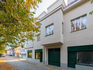 Prodej bytu 5+kk, Praha - Střešovice, Pod bateriemi, 193 m2
