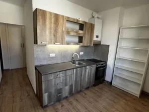 Pronájem bytu 2+1, Louny, Tomanova, 56 m2