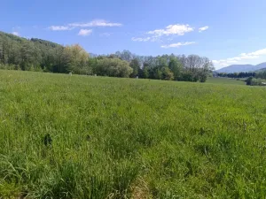 Prodej pozemku pro bydlení, Lichnov, 1474 m2