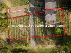 Prodej vinného sklepa, Skoronice, 144 m2