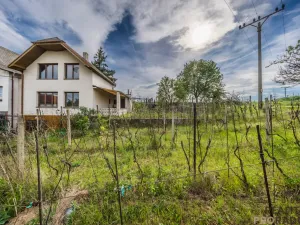 Prodej vinného sklepa, Skoronice, 144 m2