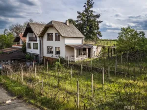 Prodej vinného sklepa, Skoronice, 144 m2