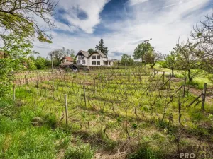 Prodej vinného sklepa, Skoronice, 144 m2