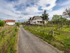 Prodej vinného sklepa, Skoronice, 144 m2