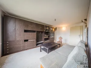 Prodej vinného sklepa, Skoronice, 144 m2