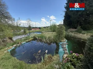 Prodej pozemku pro bydlení, Pěnčín - Dolní Černá Studnice, 2109 m2
