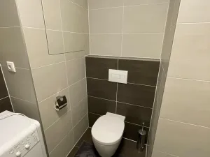 Pronájem bytu 1+kk, Brno, Rumiště, 38 m2