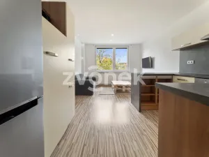 Pronájem bytu 2+kk, Zlín, Javorová, 34 m2