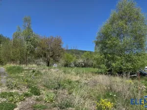 Prodej pozemku pro bydlení, Spálené, 2148 m2