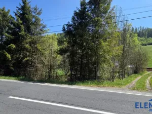 Prodej pozemku pro bydlení, Spálené, 2148 m2