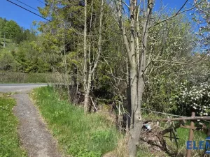 Prodej pozemku pro bydlení, Spálené, 2148 m2