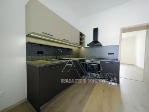 Pronájem bytu 1+1, České Budějovice, Fráni Šrámka, 40 m2
