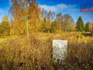 Prodej pozemku pro bydlení, Nová Pec - Nové Chalupy, 58680 m2