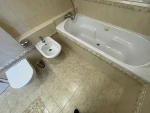 Pronájem rodinného domu, Praha - Suchdol, Havraní, 355 m2