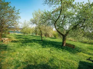Prodej zahrady, Suchonice, 1301 m2