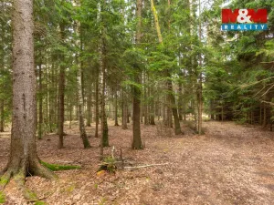 Prodej pole, Vysočina - Možděnice, 108437 m2