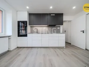 Prodej bytu 1+1, Ostrava, Alejnikovova, 38 m2