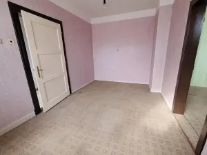 Prodej vícegeneračního domu, Brno, Fryčajova, 350 m2