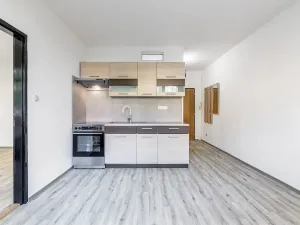 Pronájem bytu 2+kk, České Budějovice, Puklicova, 39 m2