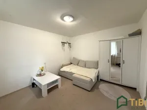 Prodej bytu 1+1, Blansko, 9. května, 29 m2
