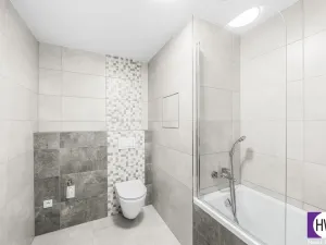 Prodej bytu 2+kk, Plzeň, Goldscheiderova, 56 m2