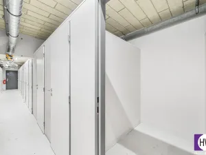 Prodej bytu 2+kk, Plzeň, Goldscheiderova, 56 m2