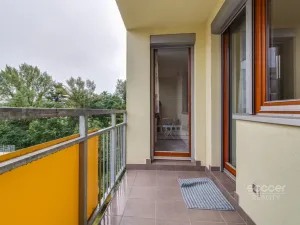 Pronájem bytu 3+kk, Praha - Záběhlice, Harlacherova, 165 m2