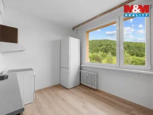 Pronájem bytu 1+1, Ústí nad Labem, Jizerská, 42 m2