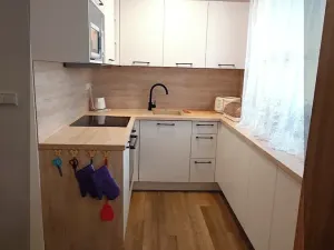 Pronájem bytu 2+kk, České Budějovice, Opatovická, 43 m2