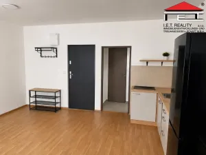 Pronájem bytu 1+kk, Opava, Sněmovní, 45 m2