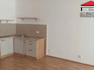 Pronájem bytu 1+kk, Opava, Sněmovní, 45 m2