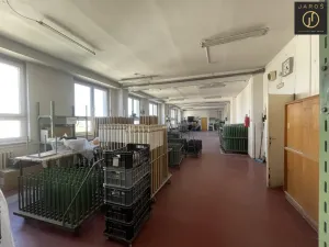 Pronájem výrobních prostor, Kladno, Dělnická, 291 m2