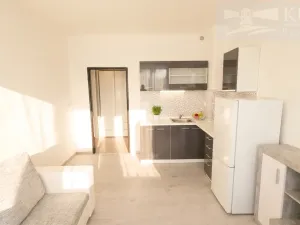 Pronájem bytu 1+kk, Příbram, Mariánská, 20 m2