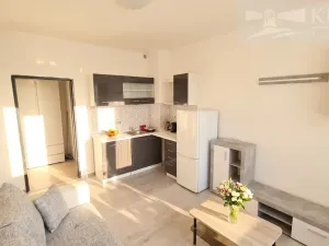 Pronájem bytu 1+kk, Příbram, Mariánská, 20 m2