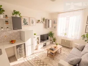 Pronájem bytu 1+kk, Příbram, Mariánská, 20 m2
