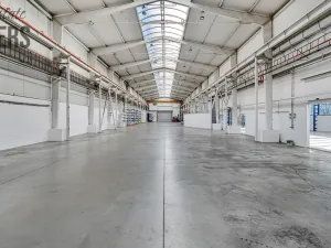 Pronájem skladu, Jílové u Prahy - Studené, 2500 m2