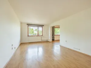 Prodej vícegeneračního domu, Hustopeče, Školní, 229 m2