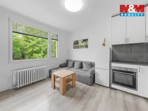 Prodej bytu 1+1, Ústí nad Labem - Severní Terasa, Maková, 33 m2