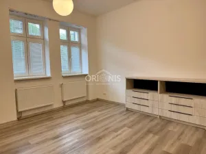 Pronájem bytu 1+1, Chomutov, Školní, 41 m2
