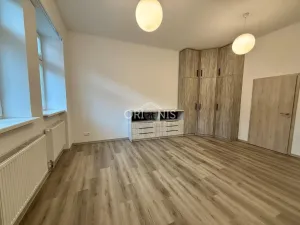 Pronájem bytu 1+1, Chomutov, Školní, 41 m2