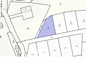 Prodej louky, Lupenice, 1014 m2
